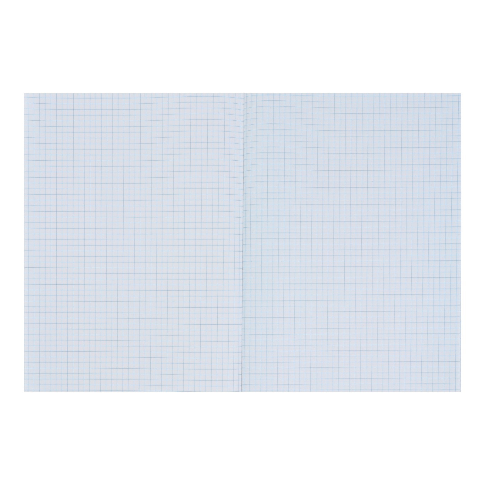 Тетрадь Calligrata клетка - фото 2