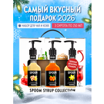 Набор сиропов SPOOM Имбирь Облепиха Ваниль для чая и кофе 3 шт по 250 мл и 3 помпы
