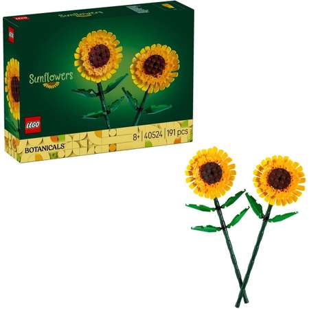 Конструктор LEGO Botanicals 40524 191 дет.