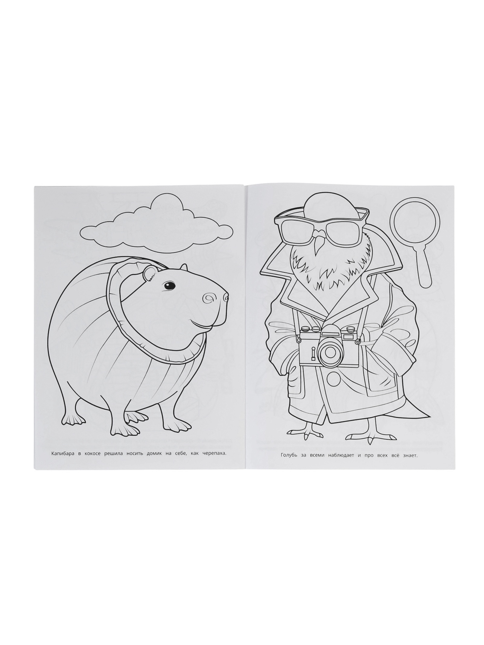 Раскраска Умкa Приключения брейнротов 16 стр - фото 4