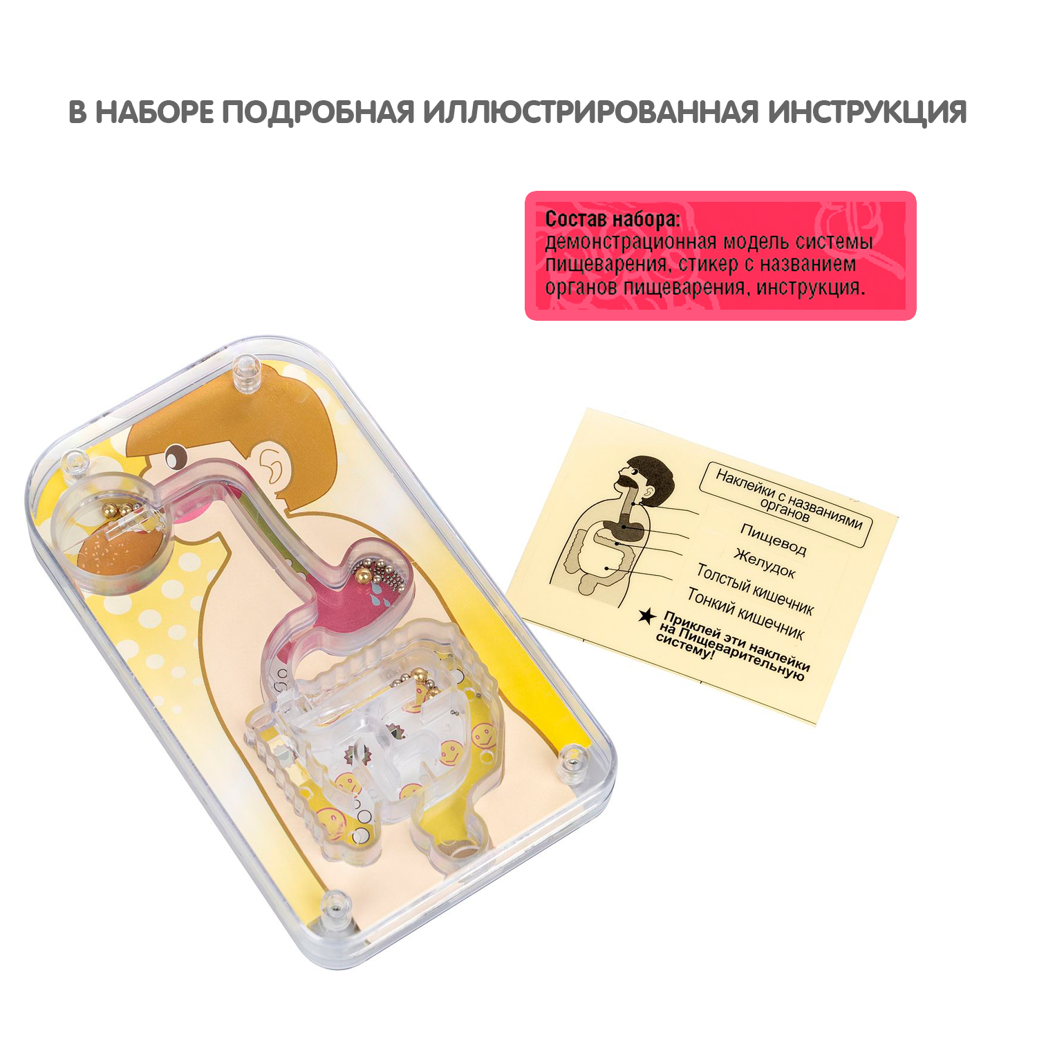 Наглядное пособие Bondibon - фото 9