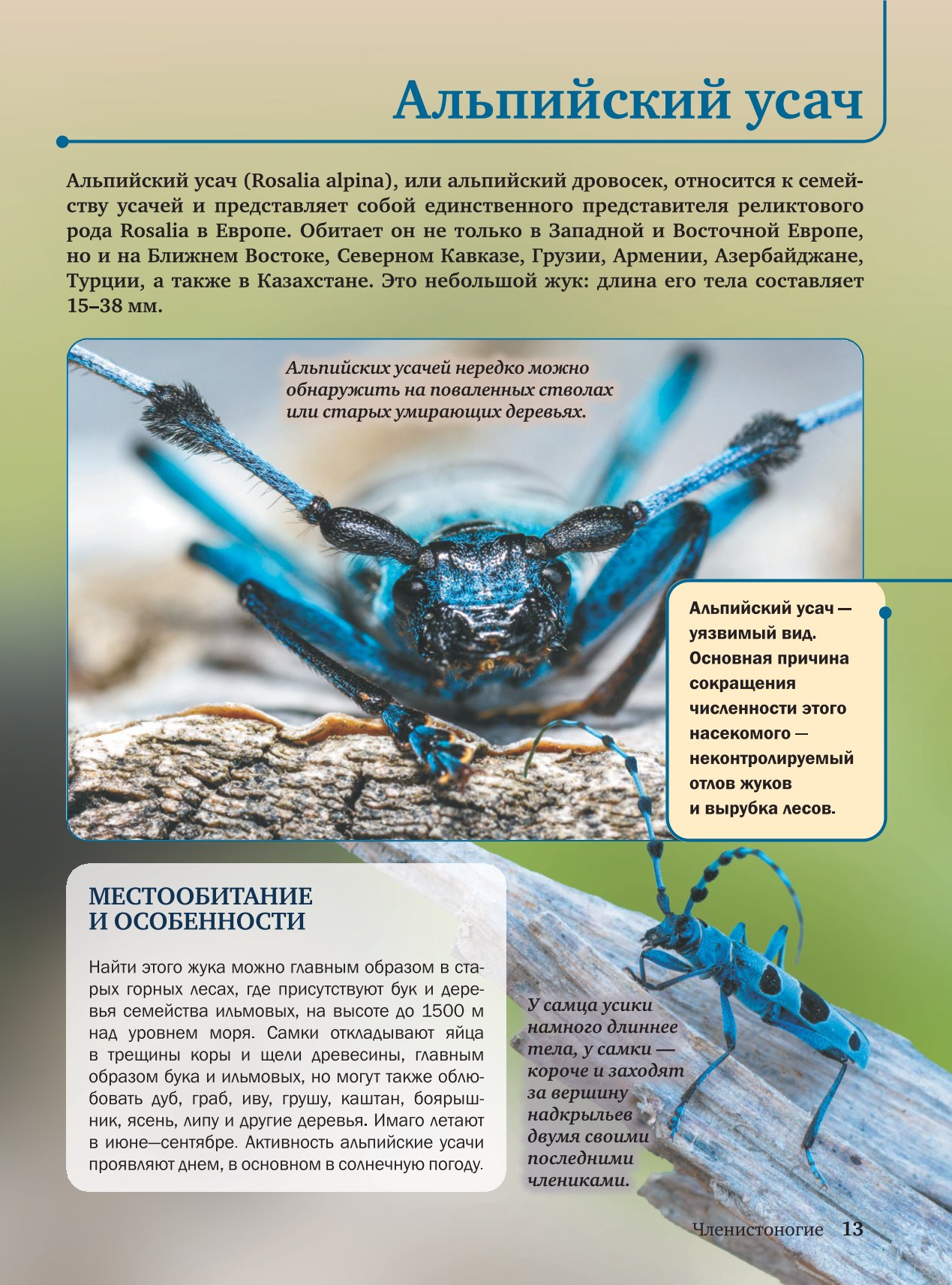 Энциклопедия АСТ Красная книга - фото 7