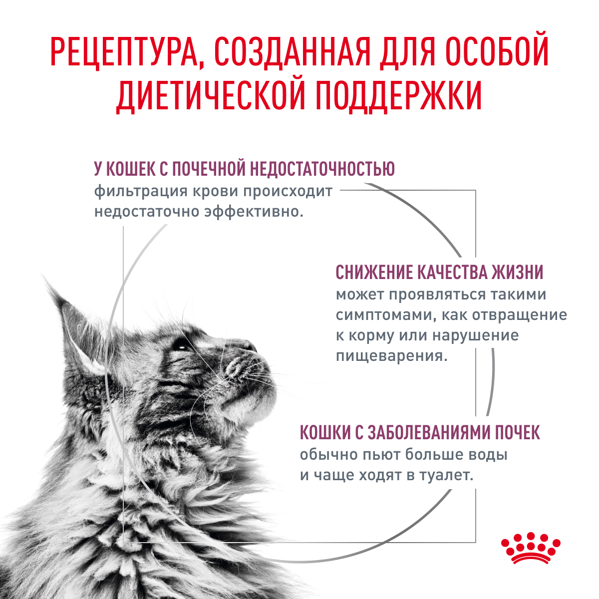 Корм для кошек ROYAL CANIN Renal with chicken для поддержания функции почек 85г - фото 2