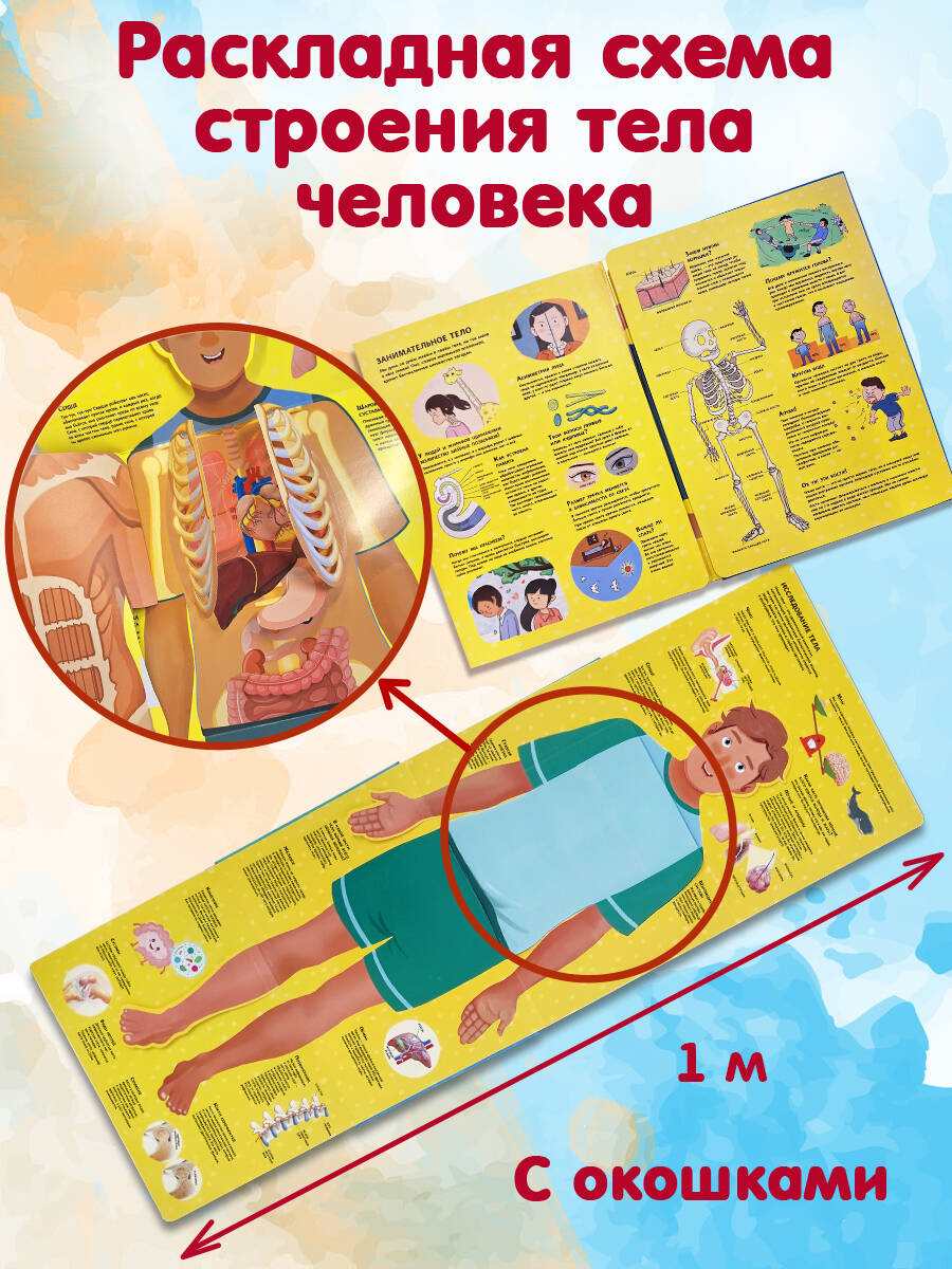 Книга Эксмо Тело человека Все секреты 3D - фото 3