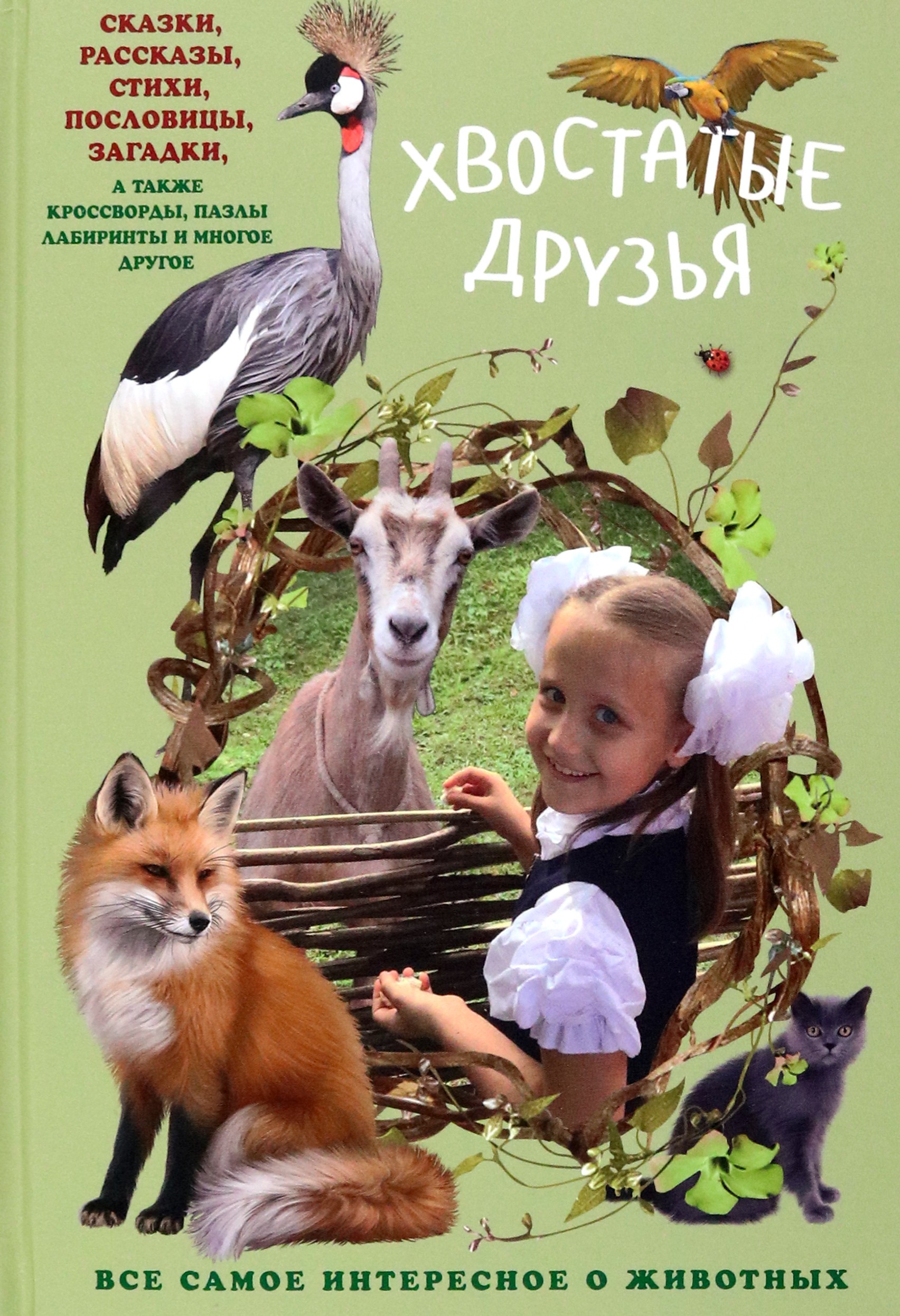 Книга Стрекозa Хвостатые друзья - фото 1