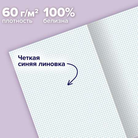 Общая тетрадь Brauberg клетка 96 лист. 3 шт.