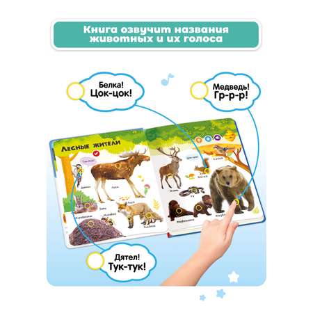 Комплект говорящих книжек BertToys Нажималки: Животные + Цвета