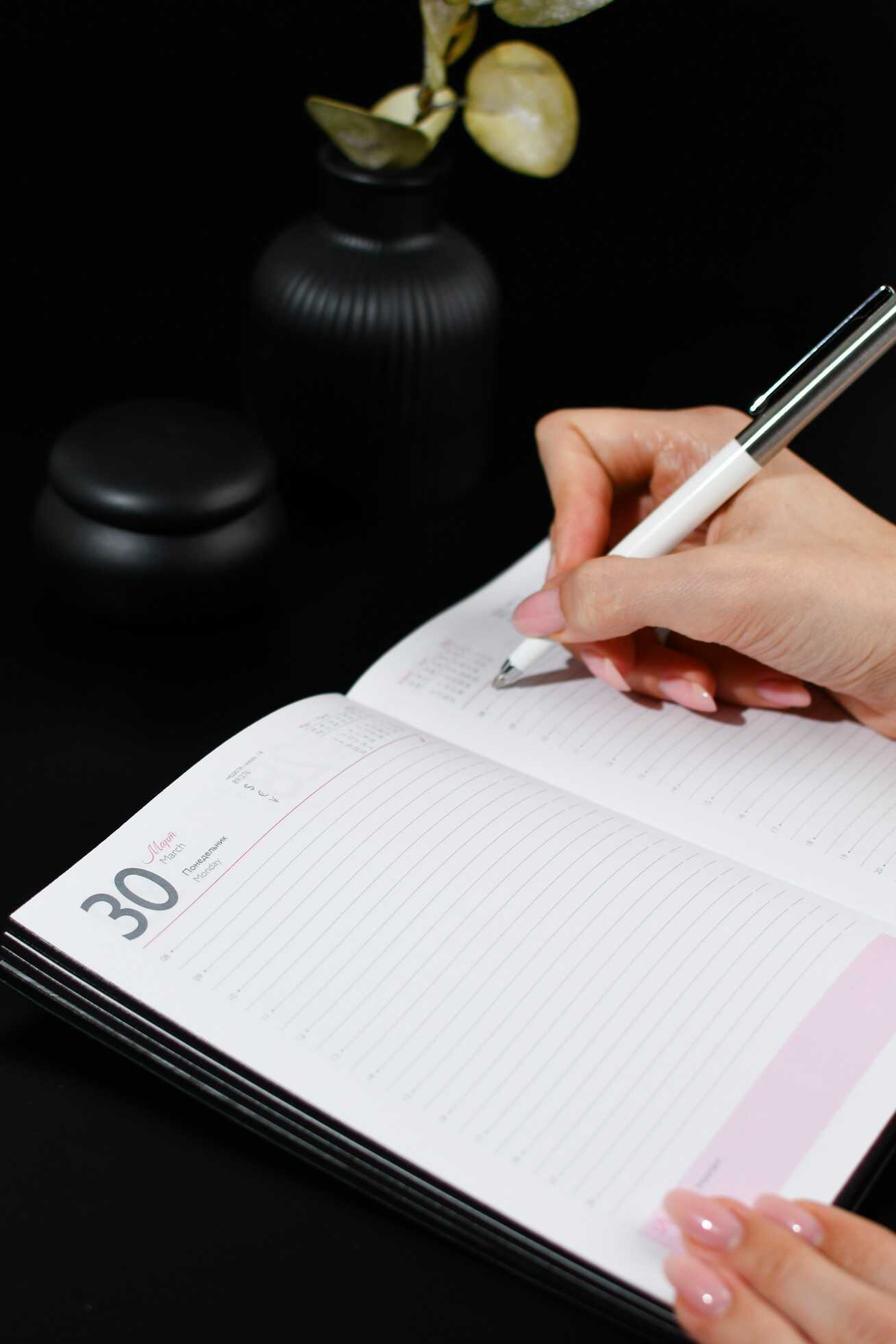 Ежедневник Феникс + ESCALADA 176 лист. - фото 15