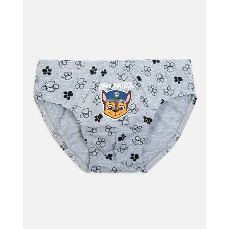 Трусы Paw Patrol