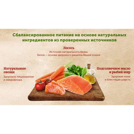 Корм влажный для кошек Natures Table 85г с лососем в соусе пауч