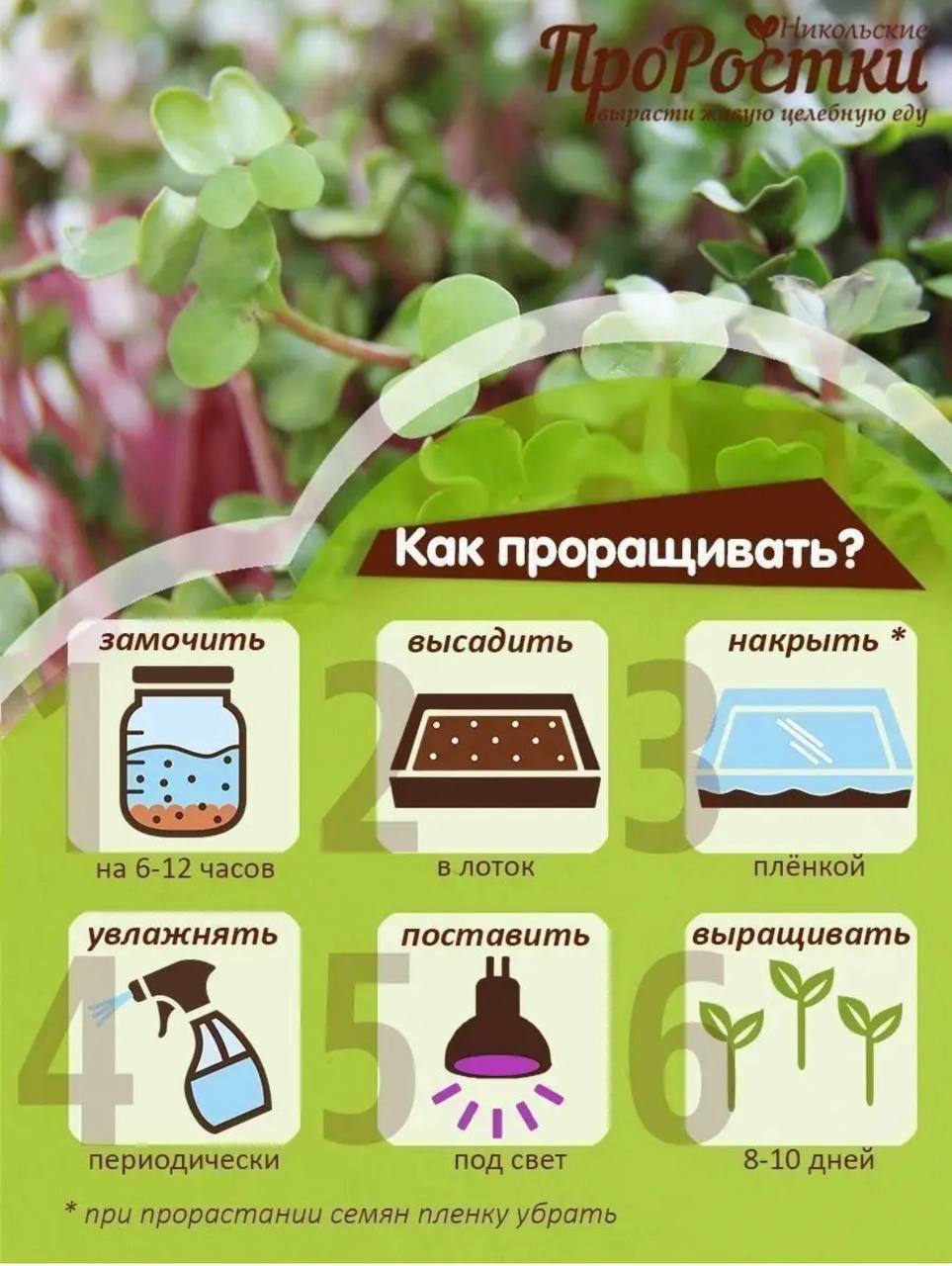 Семена для микрозелени MegaMedia редис - фото 9