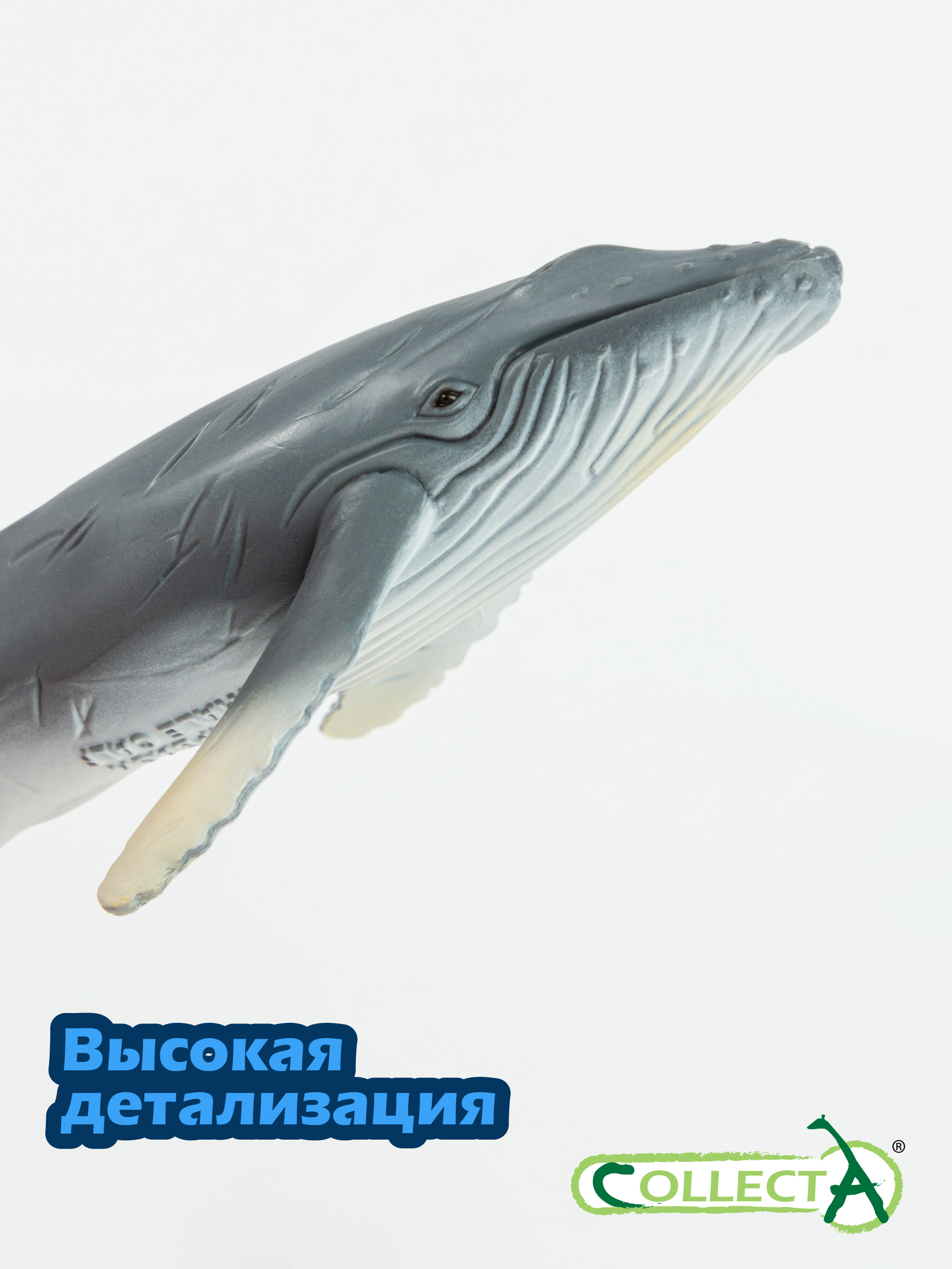 Фигурка Collecta Горбатый кит детёныш - фото 3