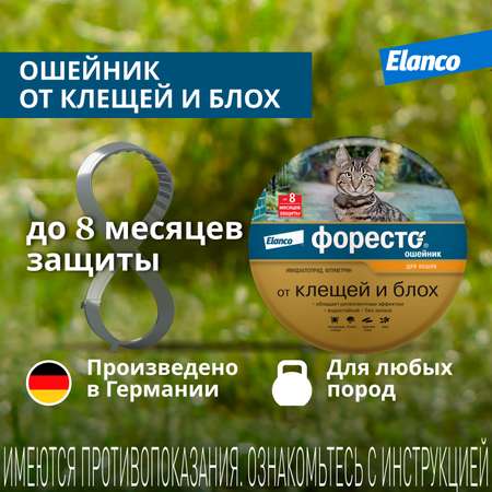 Ошейник для кошек Elanco Foresto от блох и клещей защита 8месяцев 38см 65232