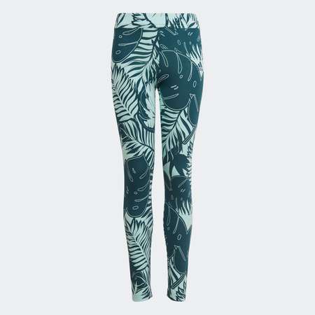Леггинсы adidas