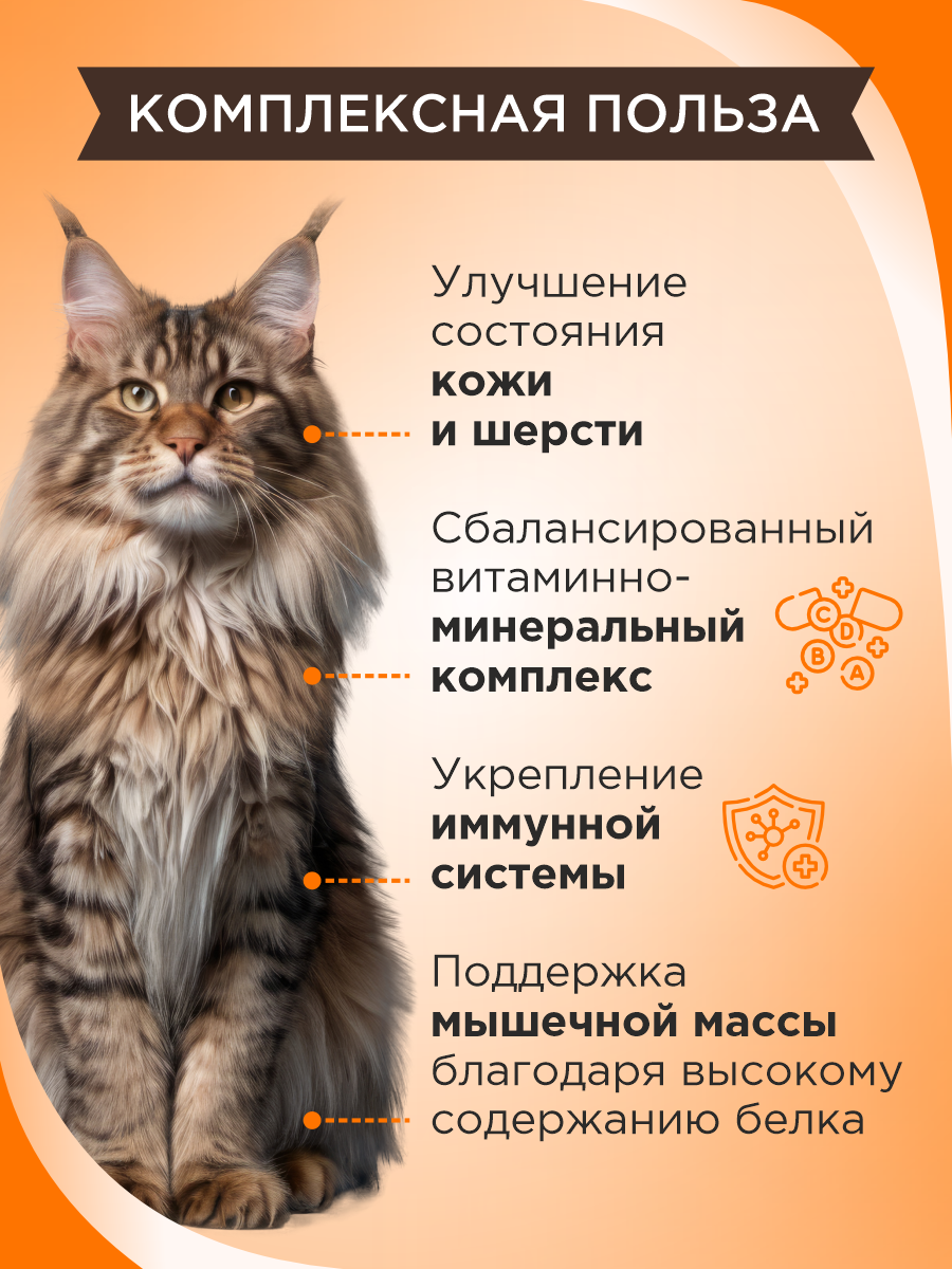 Полезное лакомство для кошек GOODR CAT со вкусом голландского сыра 90 таблеток - фото 3