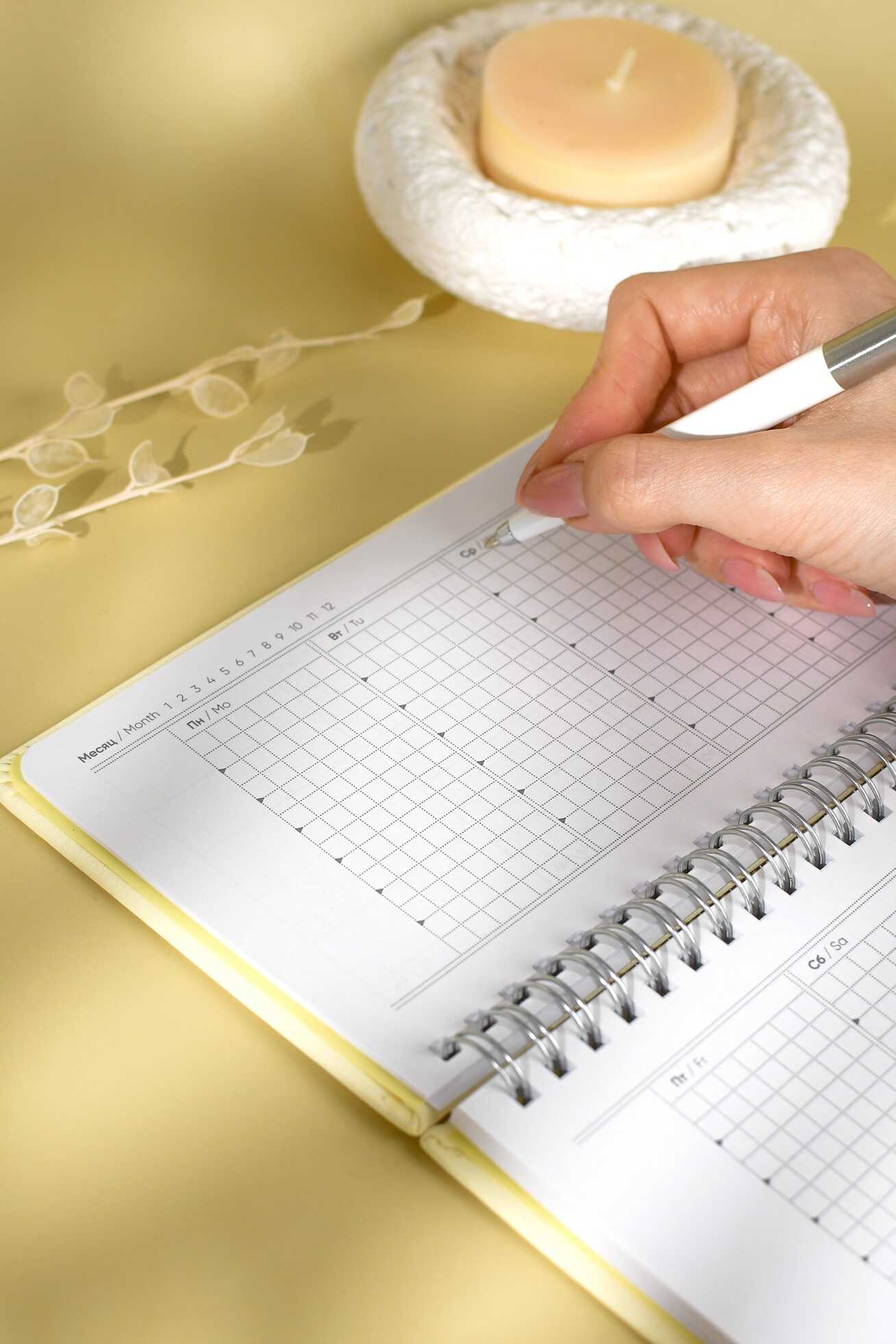 Ежедневник Феникс + ESCALADA 68 лист. - фото 8