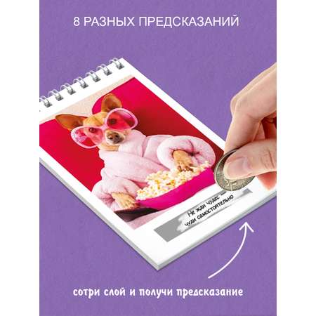 Блокнот HappyLine 8шт формат А6 для девочек