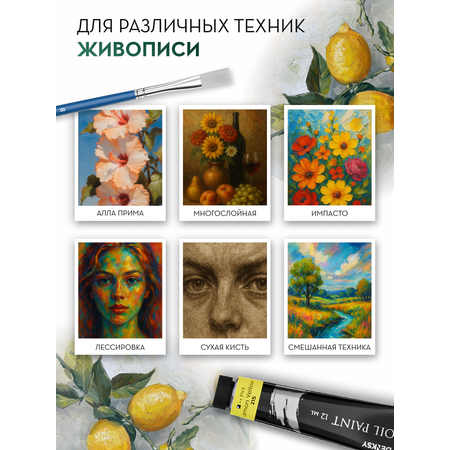 Краски масляные DENKSY 12 цв.