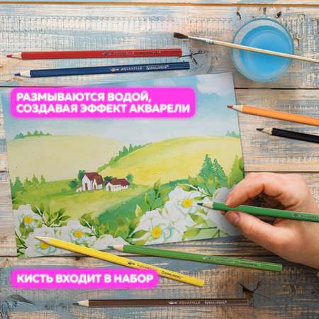 Карандаши акварельные Brauberg 24 шт.