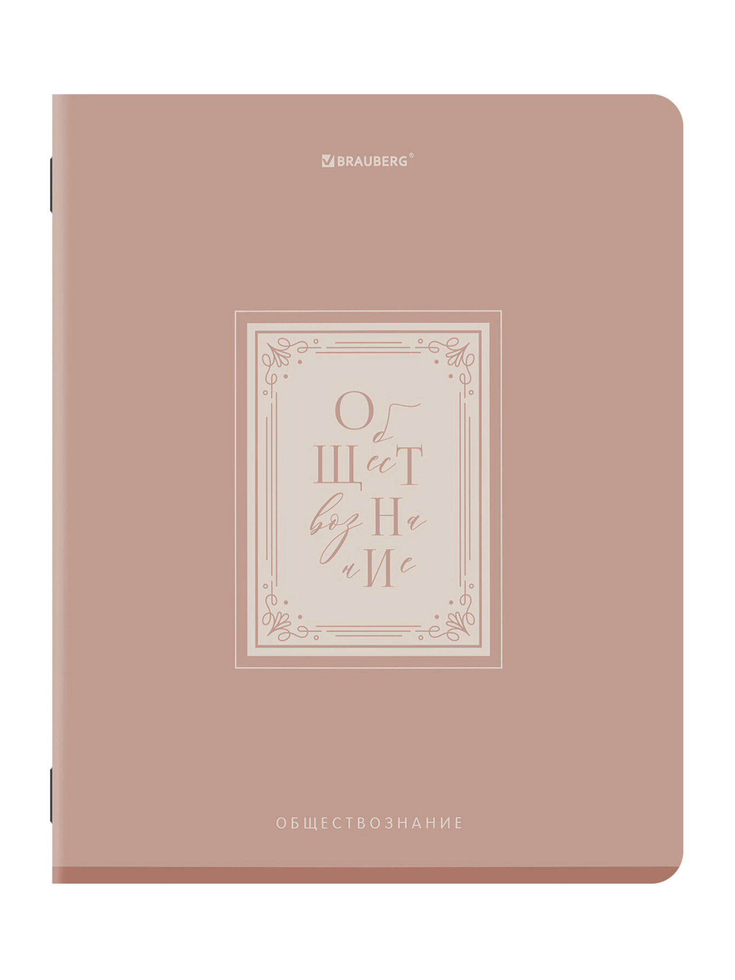 Тетрадь Brauberg 48 лист. 12 шт. - фото 15