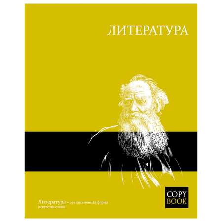 Тетрадь Феникс + 48 лист. (Литература)