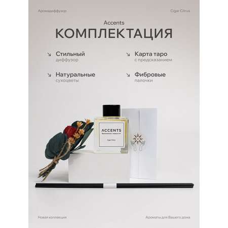 Диффузор с сухоцветами в Премиум тубусе Accents Cigar Citrus