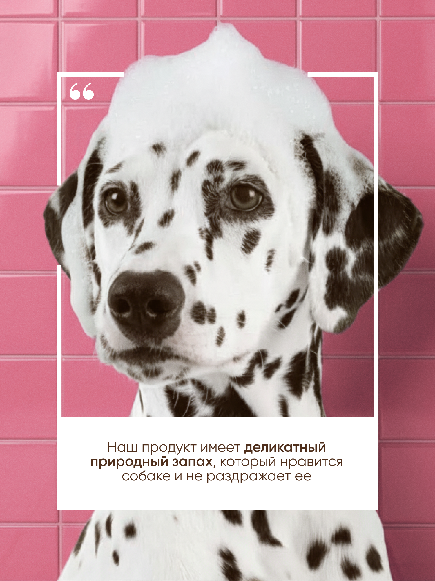 Шампунь для собак Ok, Poodle гипоаллергенный с кондиционером 750 мл - фото 11