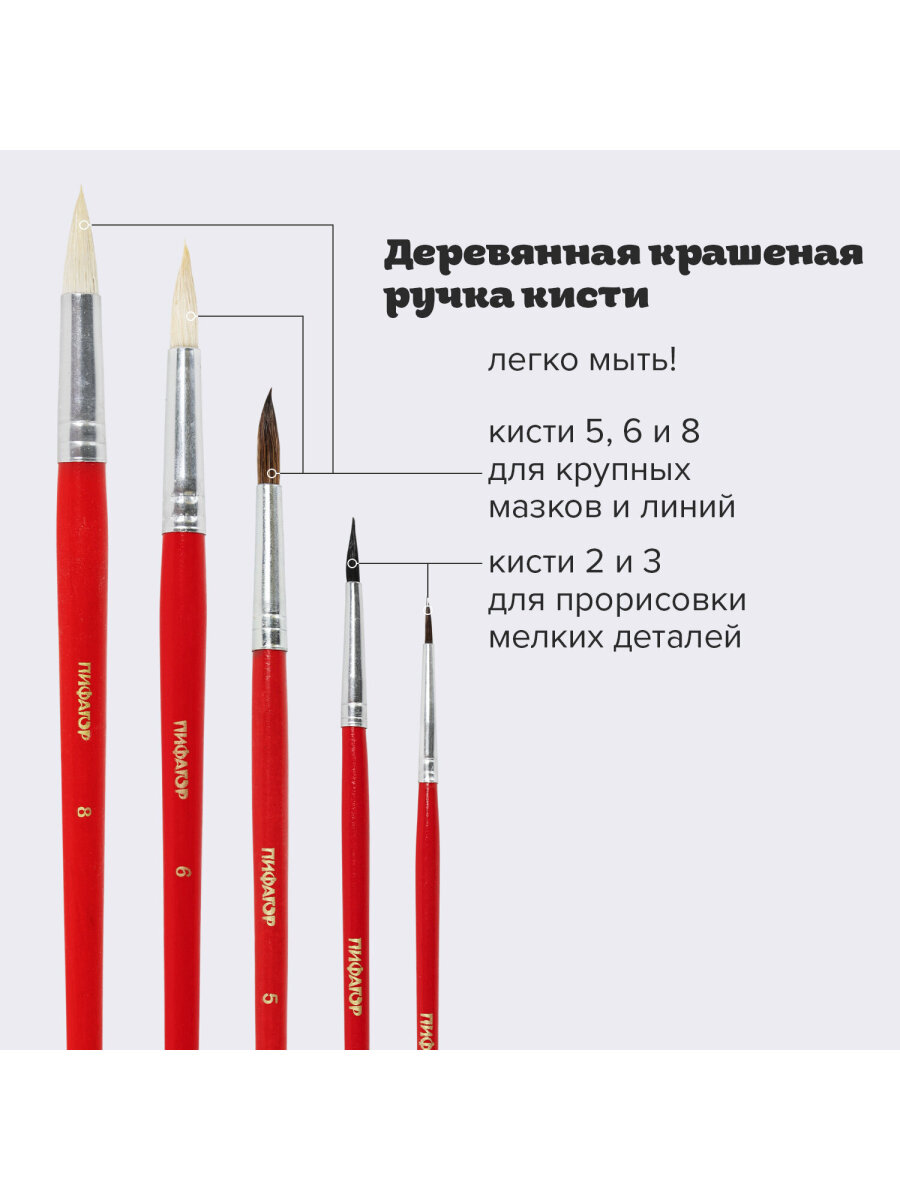 Кисть Пифагор 5 шт. (коза, белка, пони) - фото 3