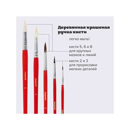 Кисть Пифагор 5 шт. (коза, белка, пони)