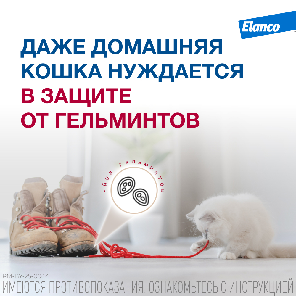 Антигельминтик для кошек Elanco Мильбемакс крупных пород 2таблетки - фото 3