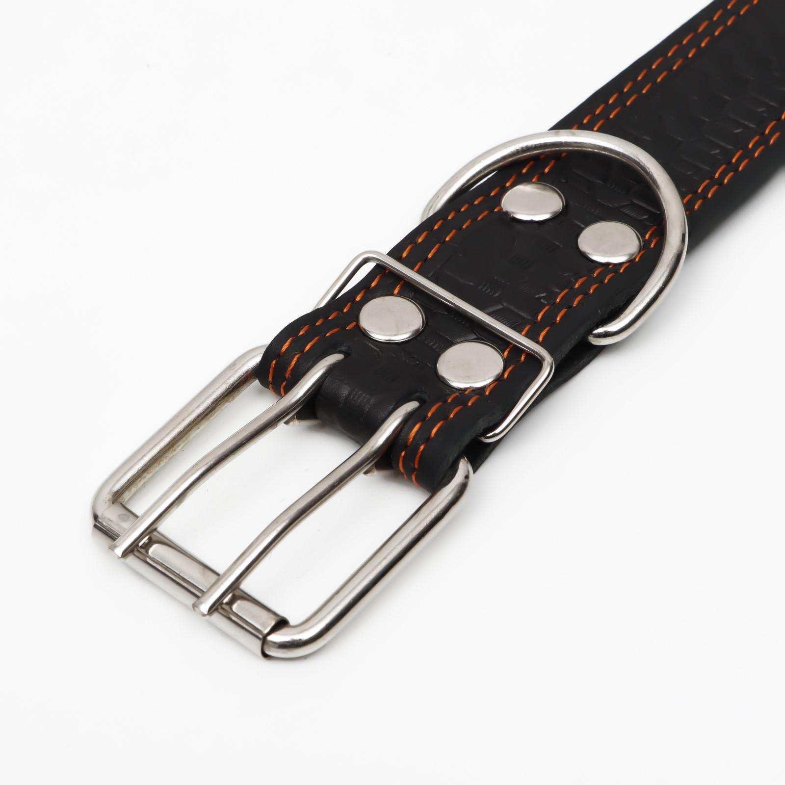 Ошейник Пижон кожаный с тиснением на синтепоне 85 х 4.5 см чёрный - фото 5