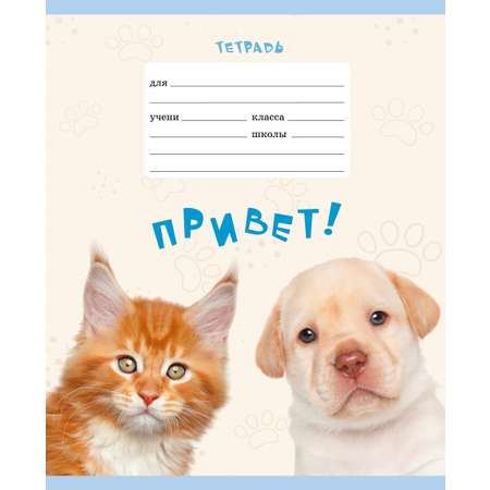 Тетрадь Listoff клетка 18 лист. в ассортименте