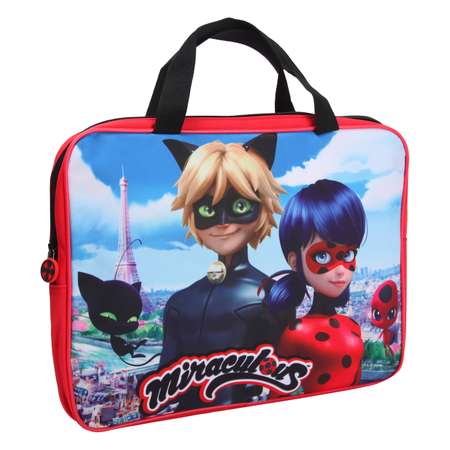 Папка с ручками Erhaft Lady Bug А4