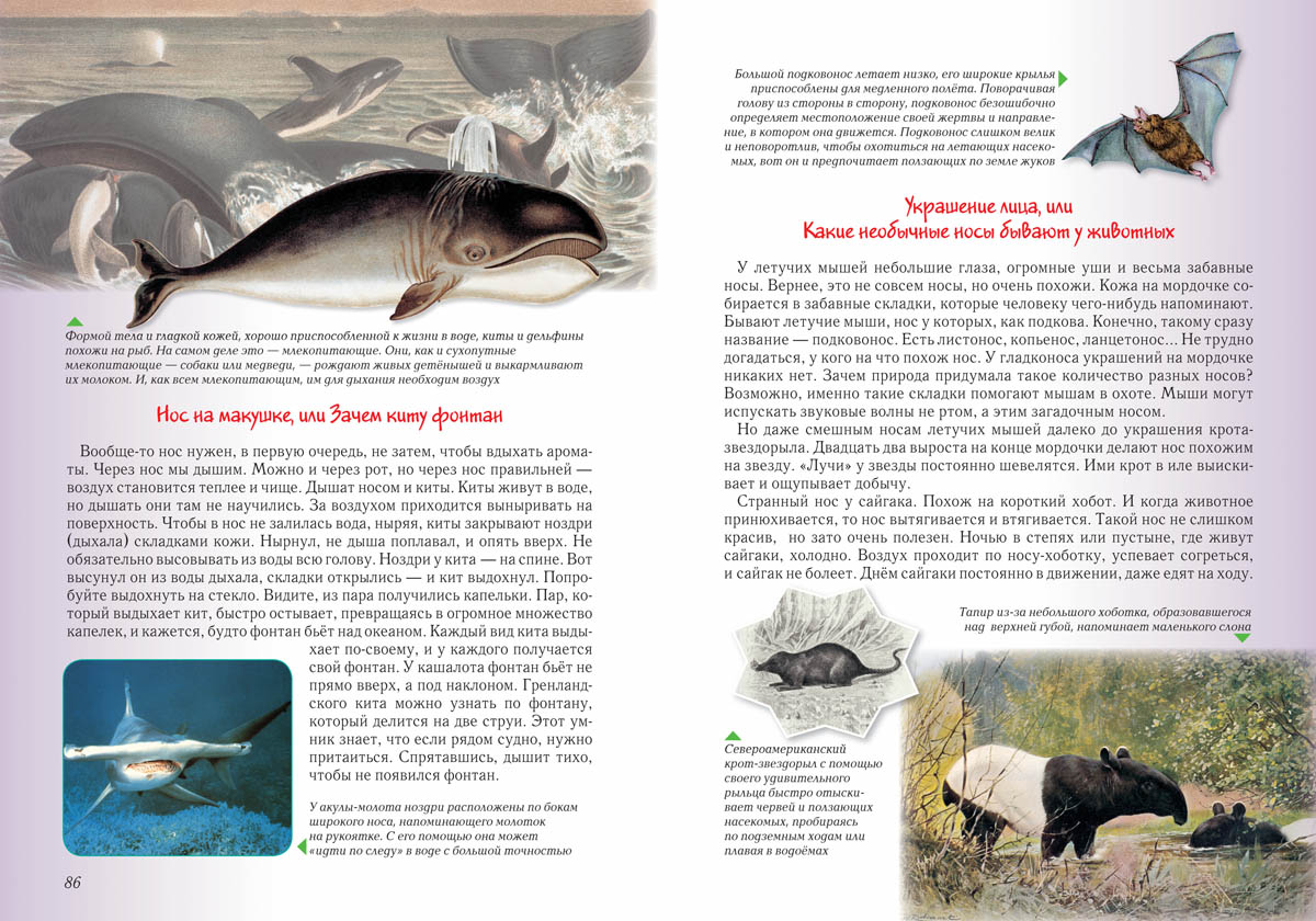 Книга Белый город Занимательная биология. - 2-е изд. - фото 10