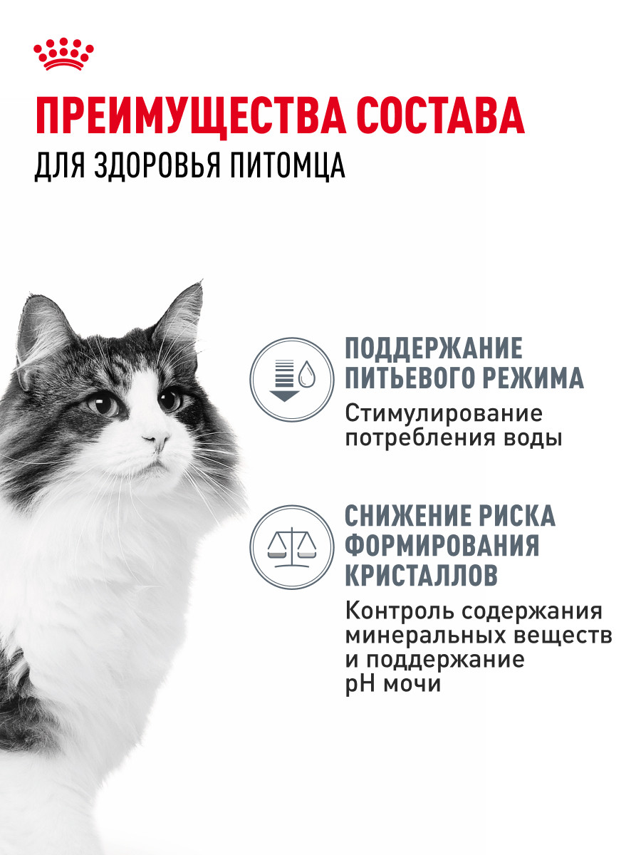 Корм для кошек ROYAL CANIN Urinary Care 4кг для поддержания здоровья мочевыделительной системы - фото 3