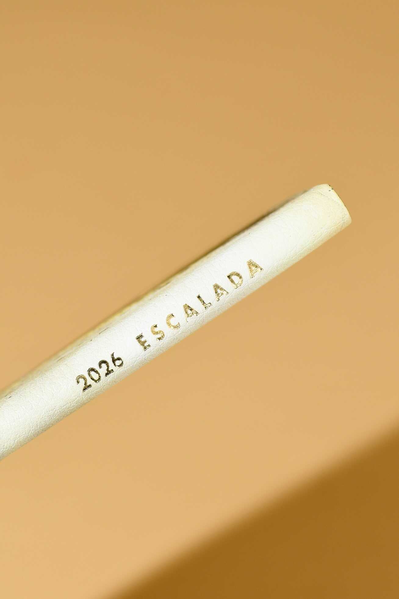 Ежедневник Феникс + ESCALADA 64 лист. - фото 13