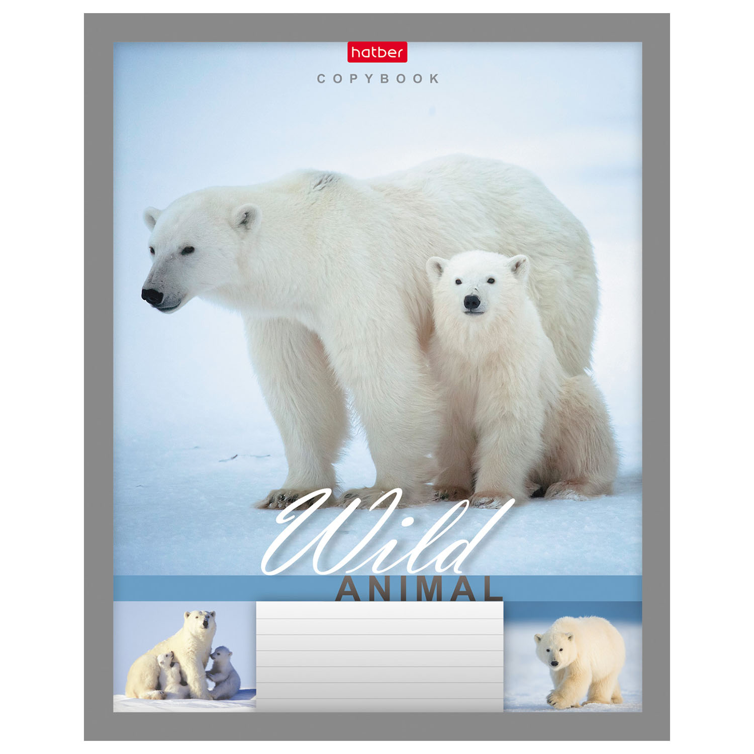 Тетрадь Hatber линейка 24 лист. - фото 6