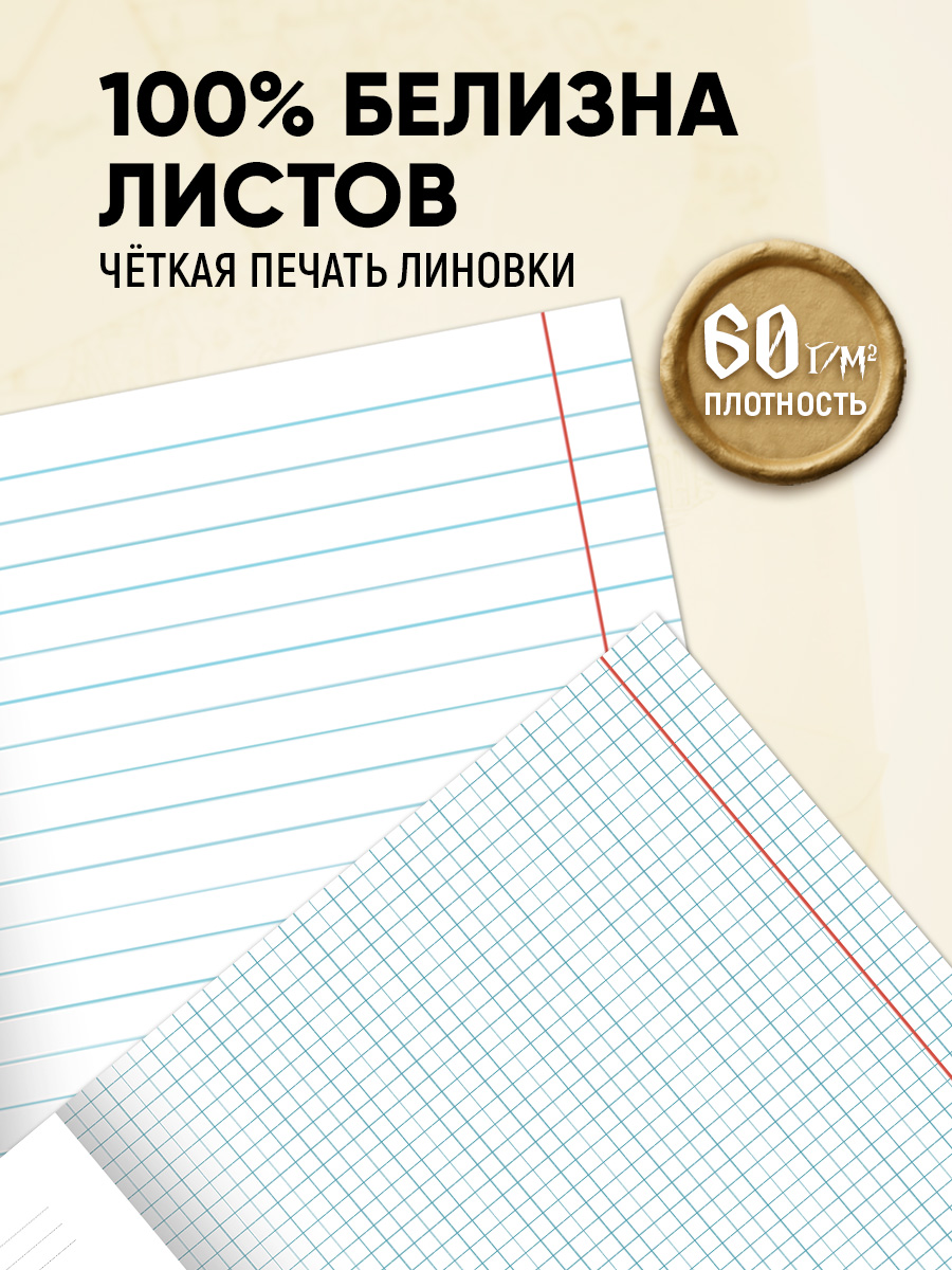 Тетрадь Prof-Press 24 лист. 10 шт. (Иностранный язык, Биология, История, Русский язык, Литература, Алгебра) - фото 6