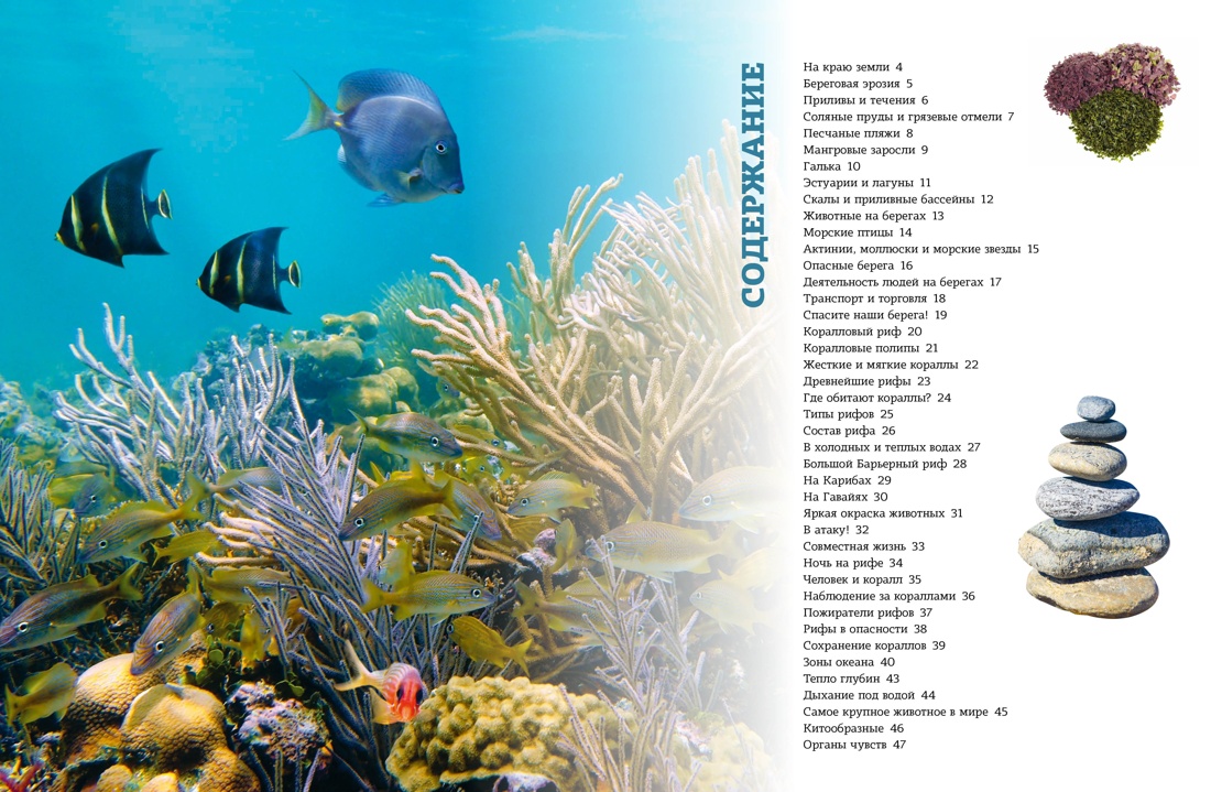 Книга Махаон Большой школьный комплект всезнайки из 7 книг - фото 8