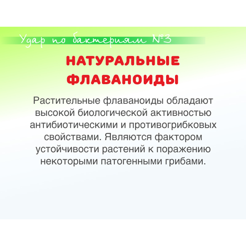 Наполнитель для кошачьих туалетов EarthPet на основе японского чая 7л - фото 8