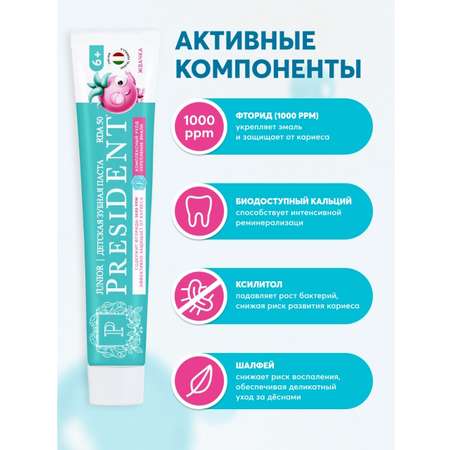 Зубная паста President Жвачка 70 г
