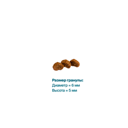 Корм сухой для кошек Profifeed С говядиной 10кг