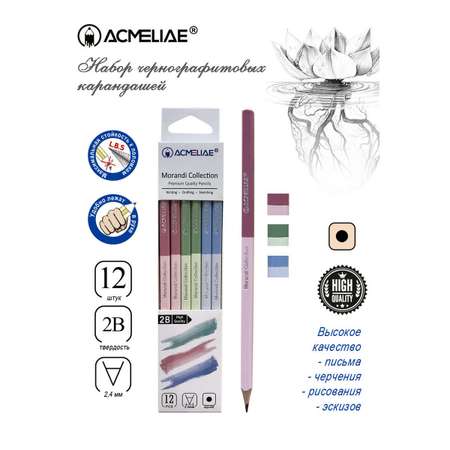 Карандаши чернографитные ACMELIAE 12 шт.