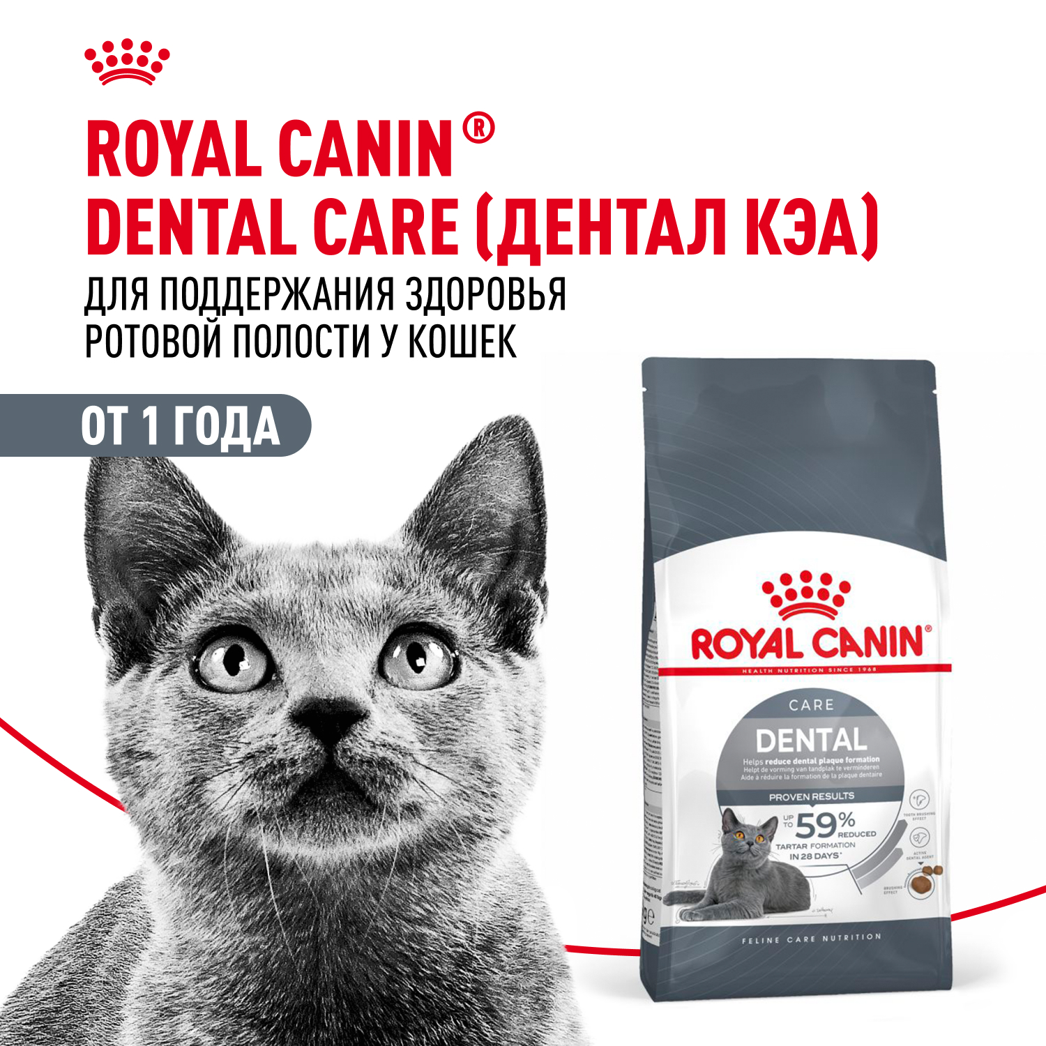 Корм для кошек ROYAL CANIN Dental Care для профилактики образования зубного налета и зубного камня 1.5кг - фото 1