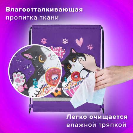 Мешок для обуви Brauberg