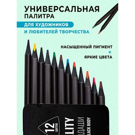Карандаши цветные DENKSY 12 шт.