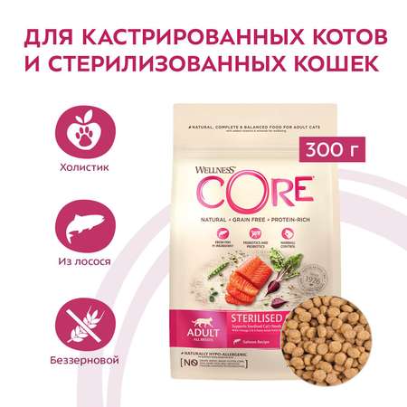Корм для кошек Wellness CORE 300г лосось для стерилизованных и кастрированных