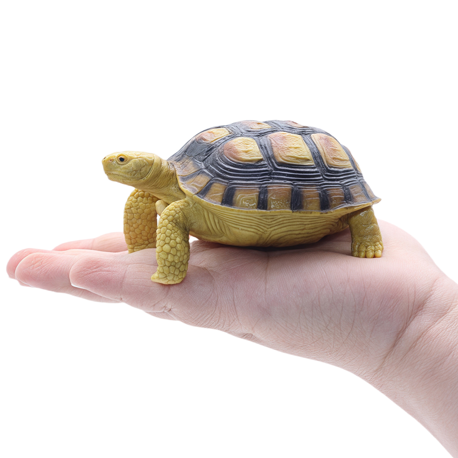 Фигурка Детское Время Среднеазиатская черепаха - фото 2