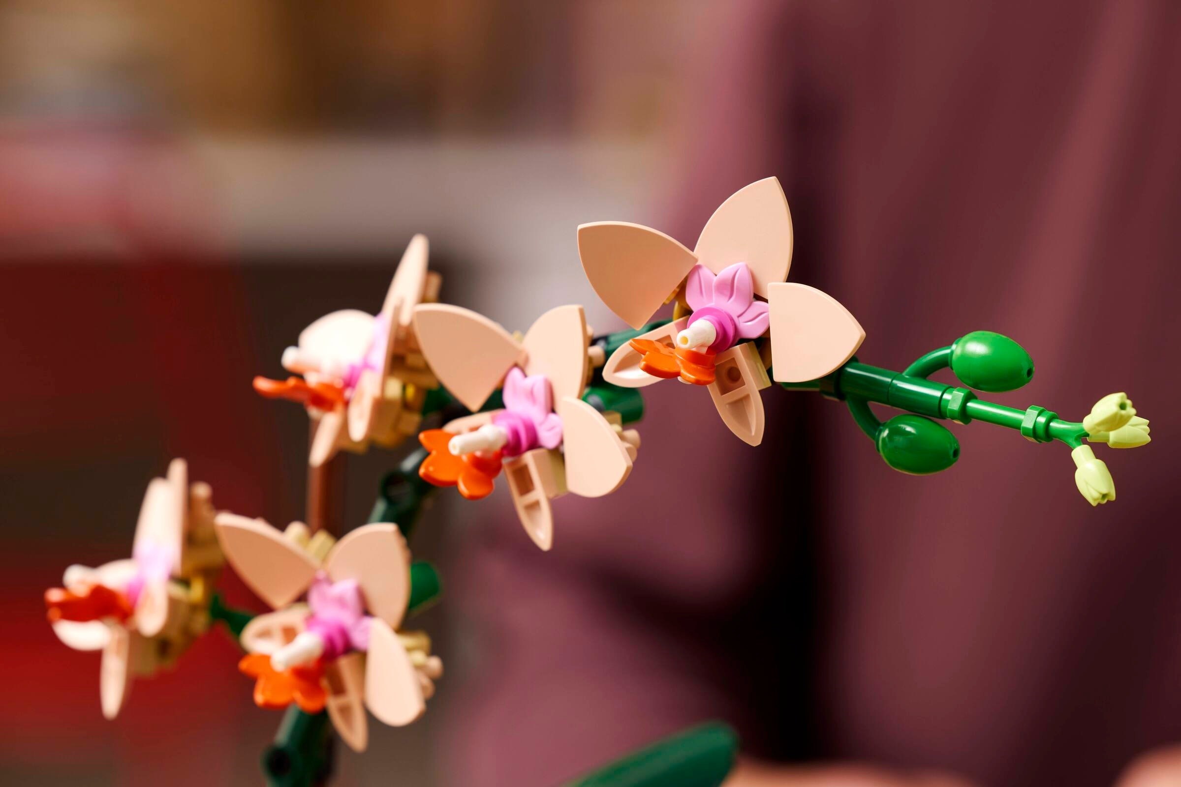 Конструктор LEGO Botanicals 10343 274 дет. - фото 6