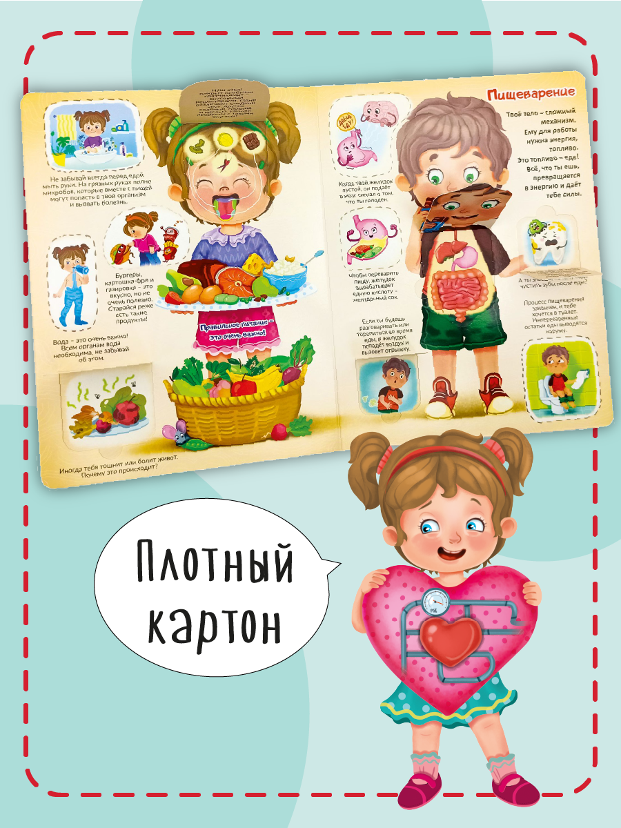 Книжка для малышей BimBiMon с окошками. Моя первая анатомия Виммельбух - фото 7